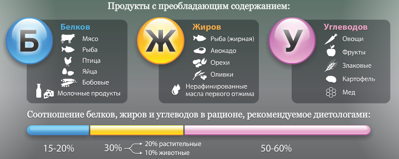 Как рассчитать суточную калорийность