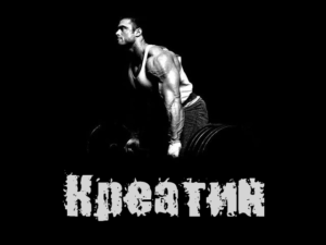 когда принимать креатин