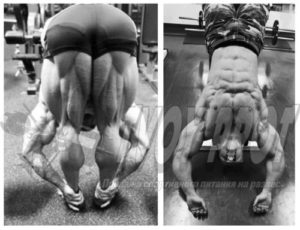 Растяжка во время тренировки, для чего она нужна и как правильно делать растяжку на тренировке в спорт зале