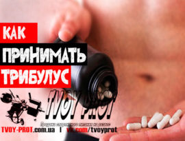 Как принимать трибулус террестрис для повышения тестостерона